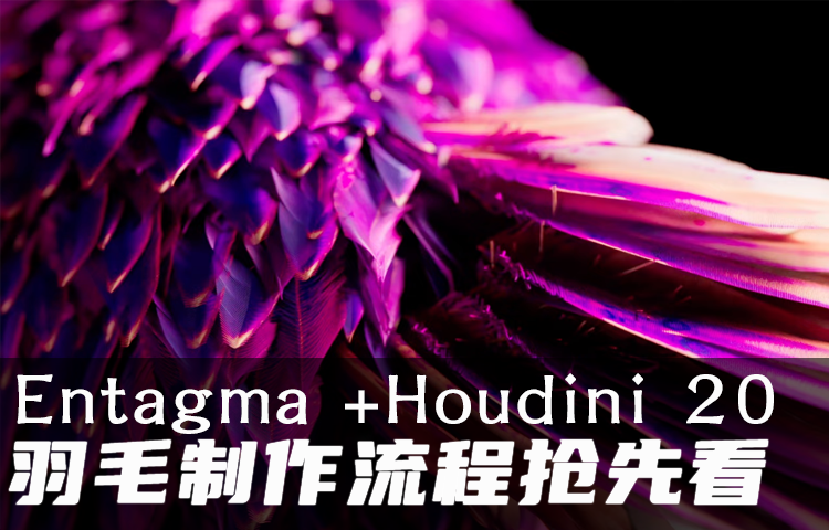 【Houdini 20新特性】Entagma的羽毛流程初探